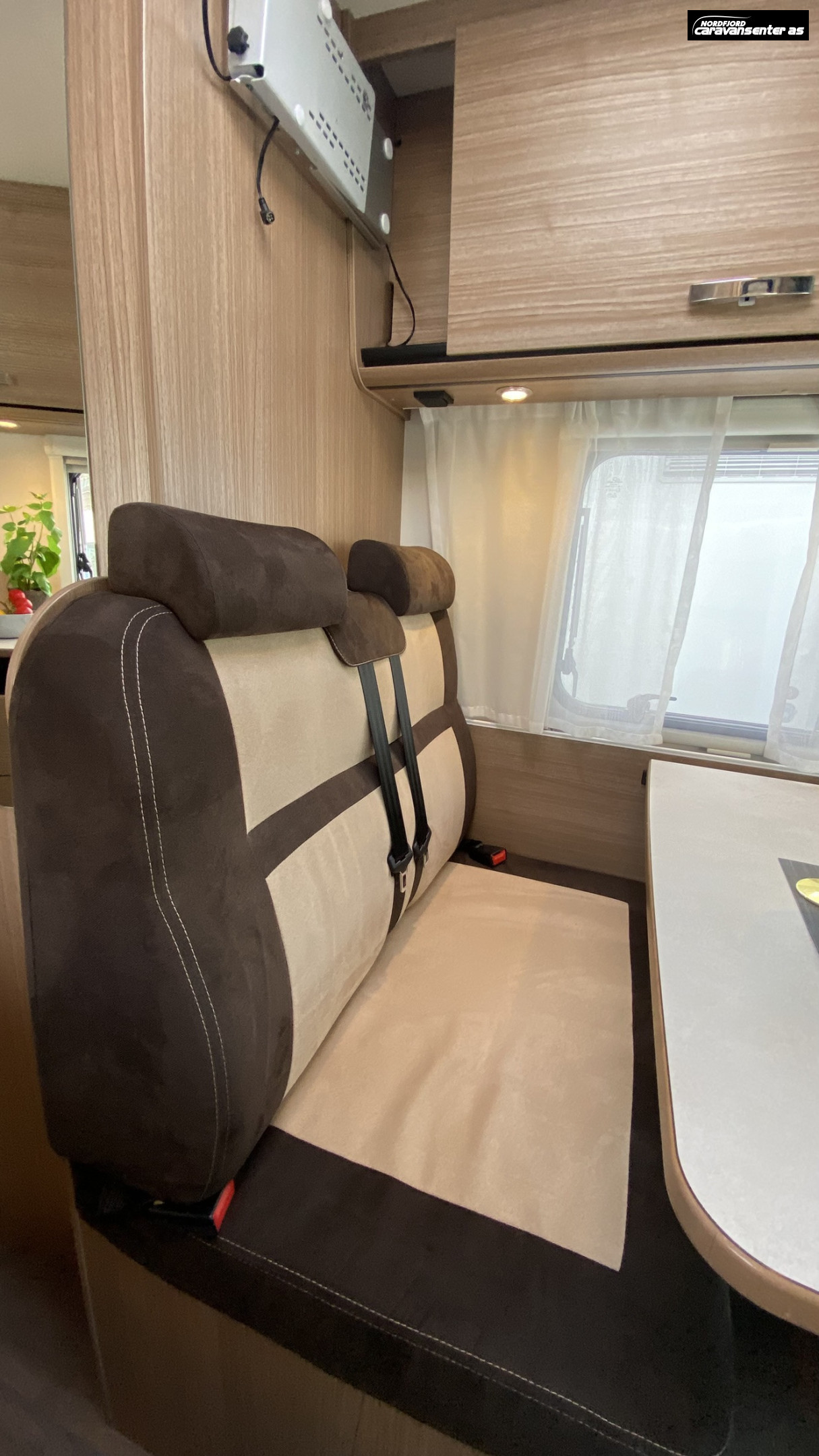 Carado V337, 3500 kg. Kan kjøres på B-sertifikat. - Carado